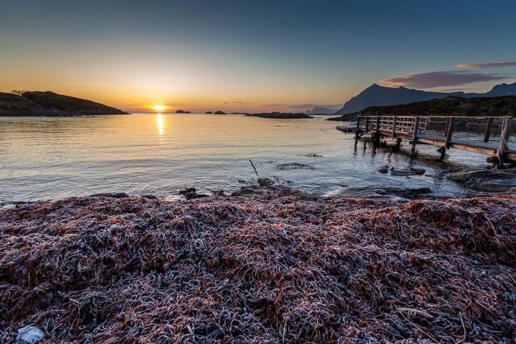 Lofoten - New Apartment, Close To Airport. Leknes Luaran gambar